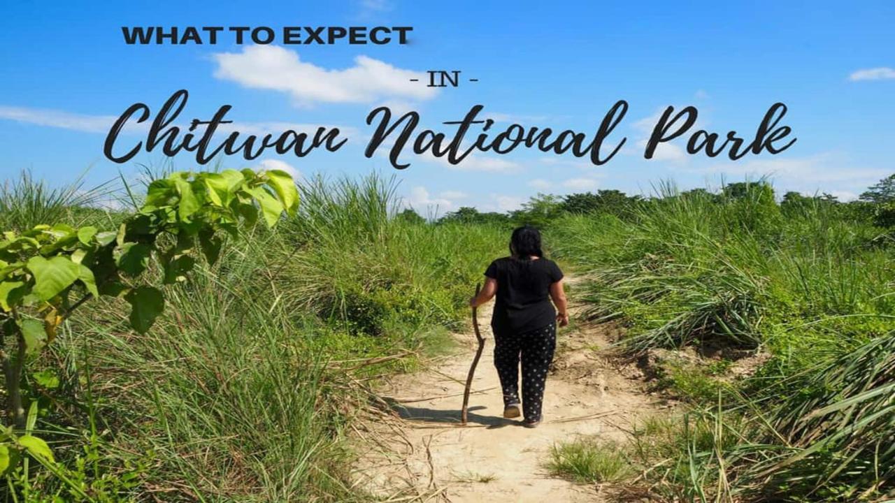 Hotel National Park Sauraha- Homely Stay And Peaceful Location With Jungle Safari Arrangements Екстер'єр фото