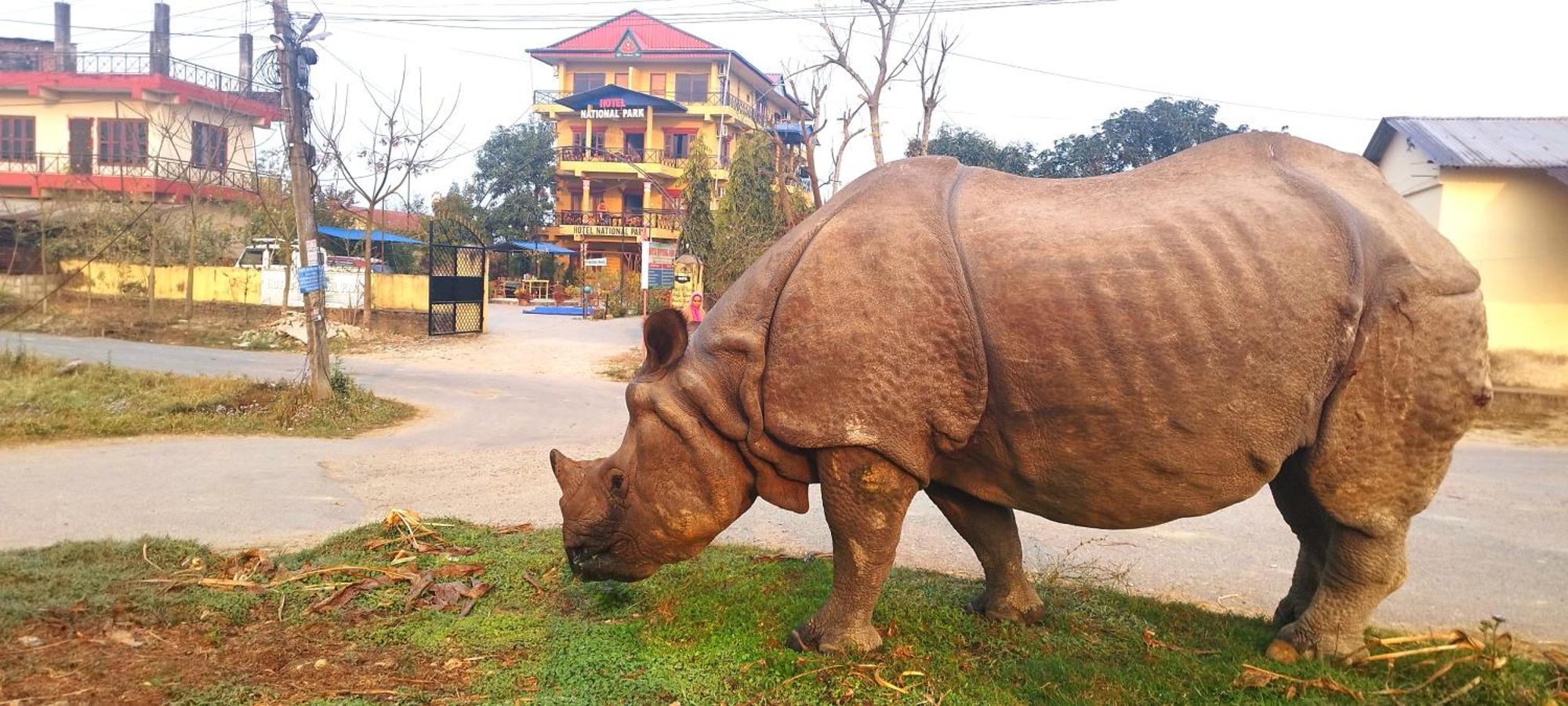 Hotel National Park Sauraha- Homely Stay And Peaceful Location With Jungle Safari Arrangements Екстер'єр фото