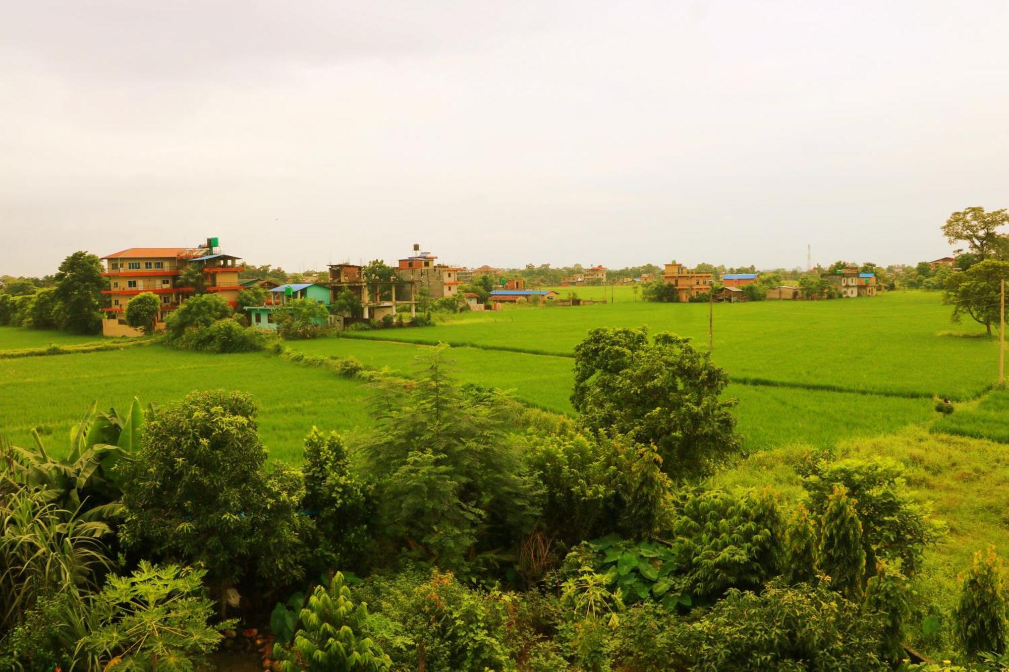 Hotel National Park Sauraha- Homely Stay And Peaceful Location With Jungle Safari Arrangements Екстер'єр фото